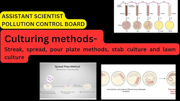 MICROBIOLOGY-CULTURING METHODS/ASSISTANT SCIENTIST/POLLUTION CONTROL BOARD