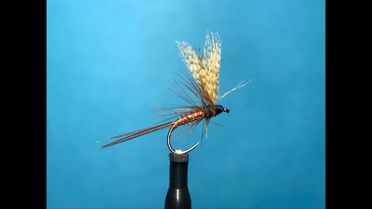 Montage d'une March Brown