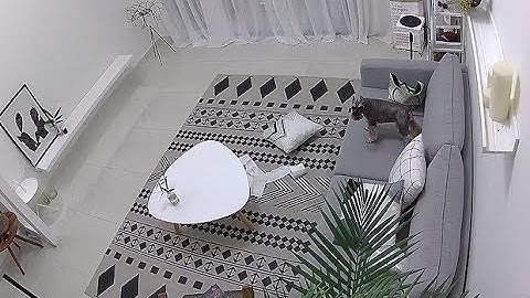 Daytime Video Sample | Reolink 4MP IP Cameras