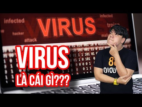 Video: Virus Máy Tính Là Gì