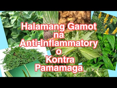 Video: Mga Halamang May Mga Epekto sa Pagpapagaling: Paggamit ng mga Herb na Panggamot sa Mga Hardin