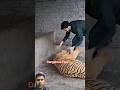 Dangerous Tiger Attack #tiger #attack #respect #animals #viralvideo #viralshort #trendingshorts #fyp