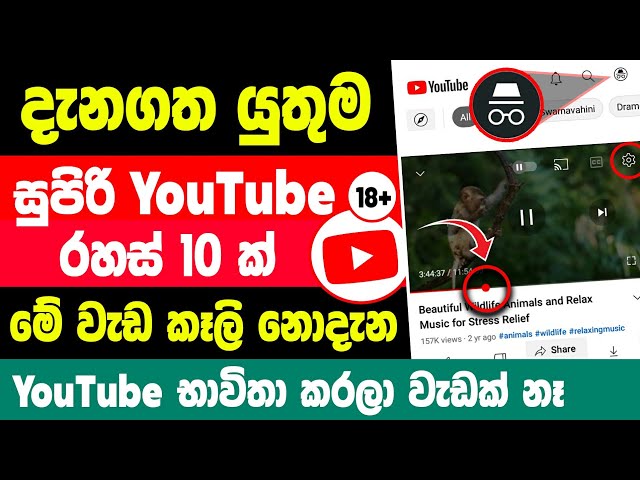 Top 10 Useful YouTube tips and tricks Sinhala | Useful YouTube tips and tricks Sinhala class=