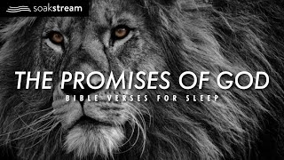 The Promises of God Bible Verses For Sleep