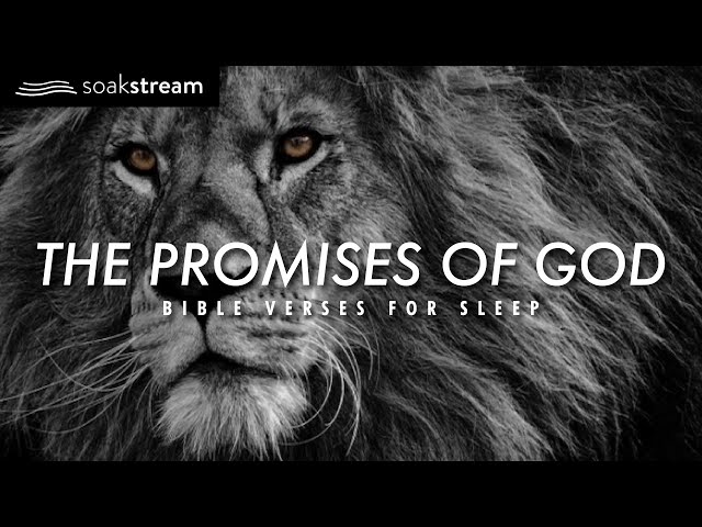 The Promises of God | Bible Verses For Sleep class=