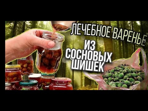 Целебное варенье из сосновых шишек. Сладкий и очень полезный десерт. Сила природы на вашем столе.