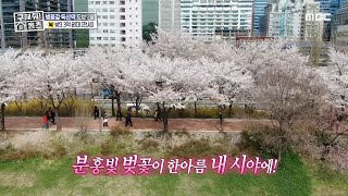 [구해줘! 홈즈] ＂여기서 다 할 수 있을 것 같아요＂ 