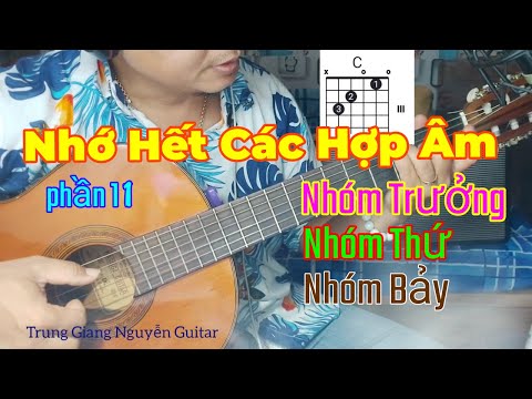 #2023 Đâu Là Điều Kỳ Diệu Trong Bộ Hợp Âm Nhóm Thứ Khi Đệm Hát Guitar ( phần 2 )