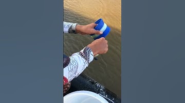 Cái này độc lạ à nghen #shorts #viral