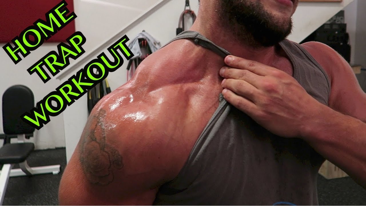 Best Traps Workout to Grow Your Trapezius Muscles Fast! – Transparent Labs