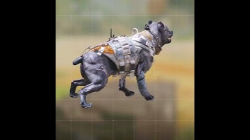 All New Season 4 Scorestreaks, Perks, Operator Skills Leaks - Call of Duty Mobile