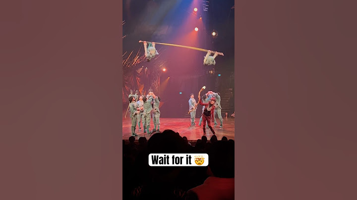UNBELIEVABLE Acrobat Double Backflip Shocked Everyone!