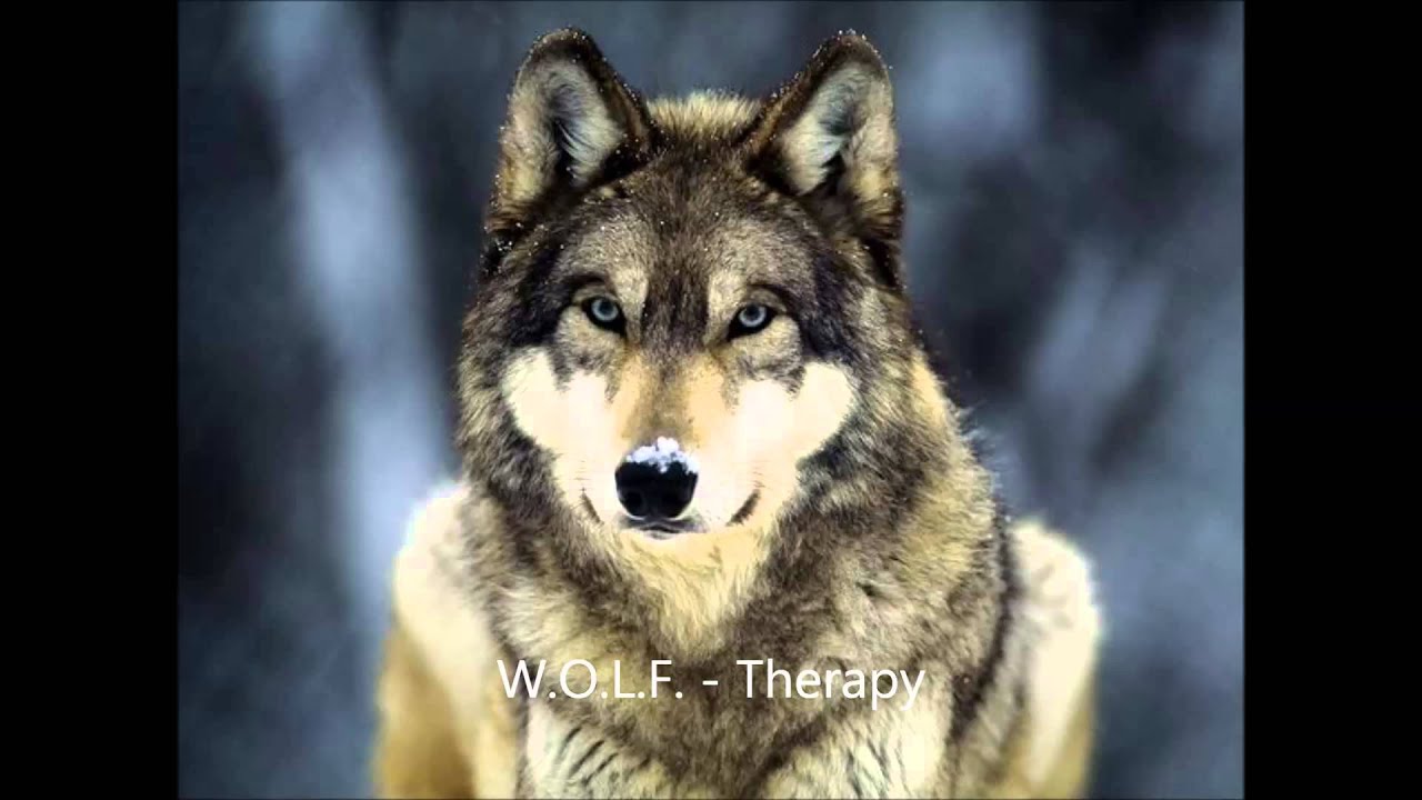 Watch W.O.L.F. - Therapy on YouTube Watch W.O.L.F. - Therapy on YouTube