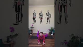 BOOTY BURN HIP OPENER: Thigh Gap + Lovely Legs You Desire 🐸Frog Pose Kicks #frogpose #hipmobility