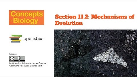 Short Form Lecture for Section 11.2 Mechanisms of Evolution - Concepts of Biology | OpenStax