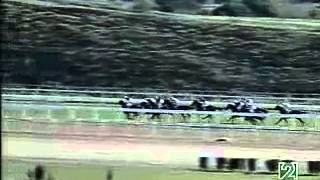 Horse Race Watzmann Fast