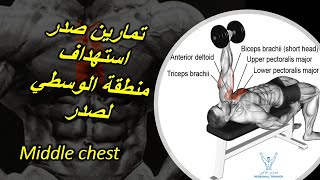 تمارين صدر استهداف منطقة الوسطي لصدر | Middle chest