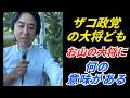 ザコ政党の大将どもへ、お山の大将で、何の意味がある?NO立花人質司法、諸派党抗議街宣