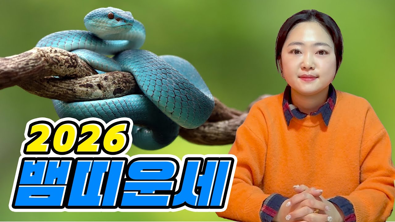 [수진보살 美운세] 2026년 띠별운세 여섯번째는 뱀띠🐍 올해는 조금 좋아지실 거예요😄