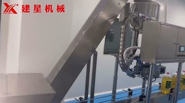 Automatic PET Bottle Capping Machine Pressing Capper with Cap Feeding Elevator and Cap Sorter