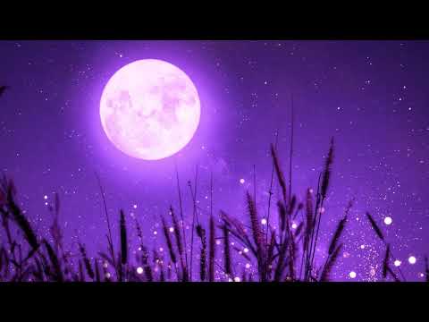 Deepest Sleep Music