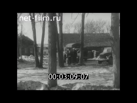 1965г. колхоз Заветы Ильича Вологодская обл