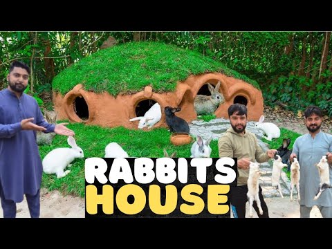 NEW RABBITS HOUSE READY - GHR MAIN ZOO - YouTube