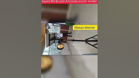 🌟Birds & Animals Scarer Model!🌟