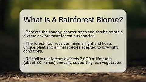 What Is A Rainforest Biome? - Ecosystem Essentials