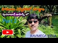 మనం పాములు ఎన్ని రకాలు ఉన్నాయో చూద్దాం రకరకాల పాములు
