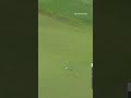 Ben Griffin sinks a HUGE birdie putt from off the green! 🤯 #shorts
