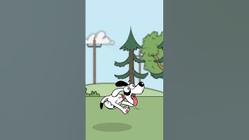 Animation Runcycle - Toon Boom Harmony