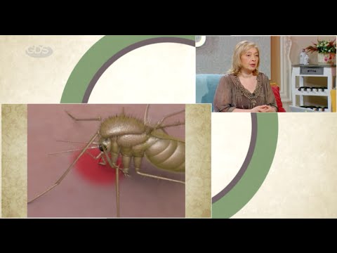 საქართველოსთვის საშიში მწერებით გადამდები დაავადებები