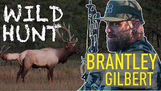 видео: ИНТЕНСИВНАЯ ОХОТА НА ЛОСЯ В МОНТАНЕ С БРЭНТЛИ ГИЛБЕРТОМ С ЛЕЙ И ТИФФАНИ ЛАКОСКИ 📣 картинка: ИНТЕНСИВНАЯ ОХОТА НА ЛОСЯ В МОНТАНЕ С БРЭНТЛИ ГИЛБЕРТОМ С ЛЕЙ И ТИФФАНИ ЛАКОСКИ 📣