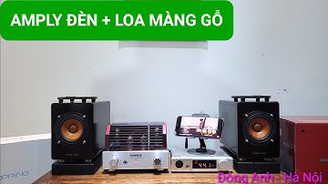 Trải Nghiệm Dàn Âm Thanh Amply Đèn +Loa Màng Gỗ Cực Đỉnh: Triode Ruby + Victor AR3 + DAC Topping EX5