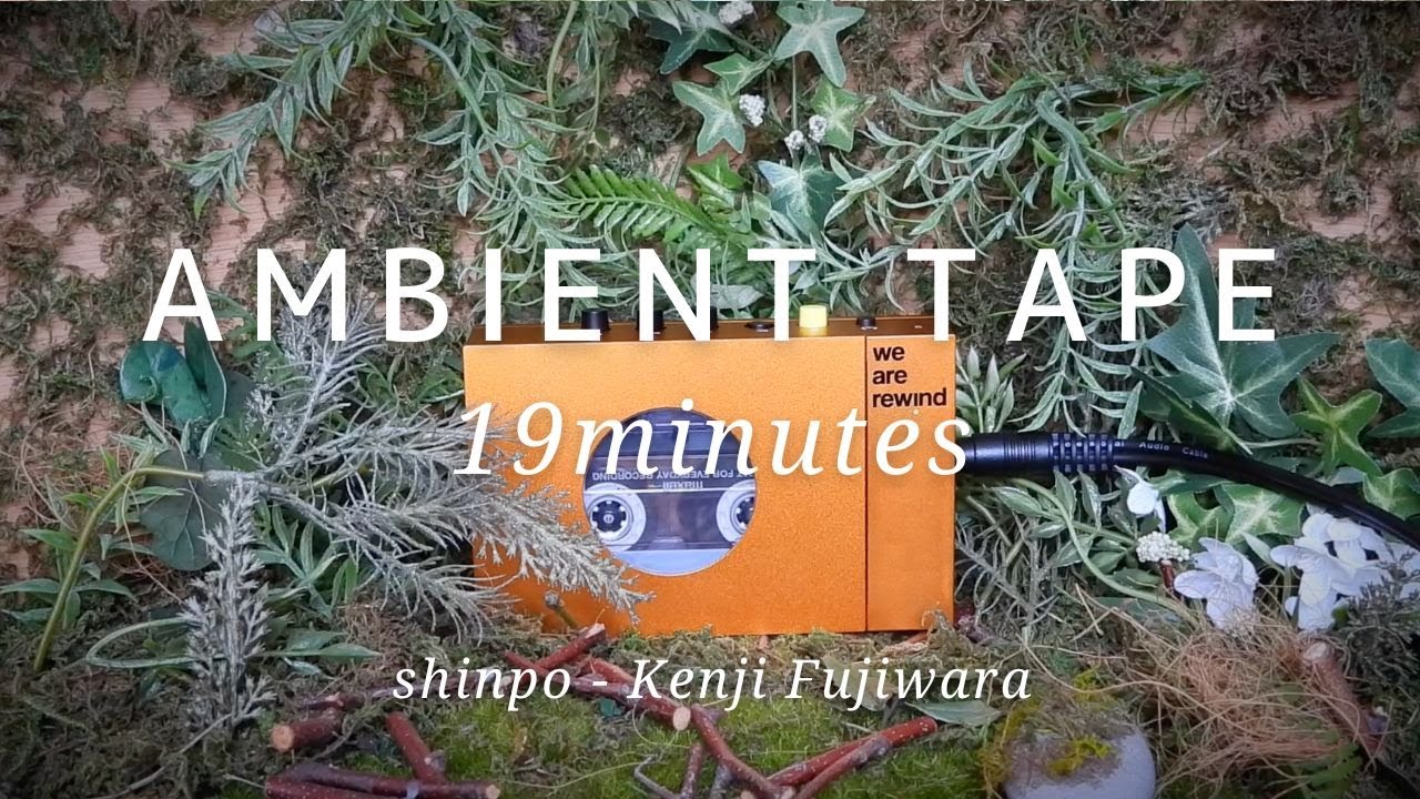 "shinpo - Kenji Fujiwara" Ambient music 20minutes cassette tape - 読書,リラックス,瞑想