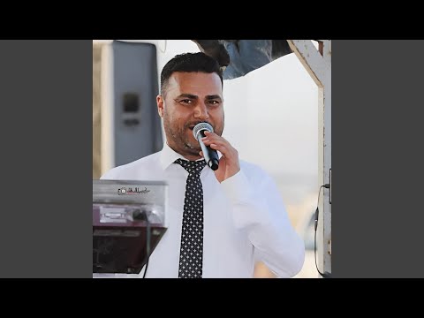 زافايا زافايا 