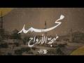 أنشودة المولد النبوي الشريف الفرقة الهاشمية للإنشاد محمد ﷺ مهجة الأرواح mp3