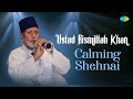 Ustad bismillah khan  calming shehnai  indian classical instrumental music  audio