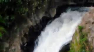 71132081 746602875770915 4224681092503830528 n
