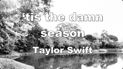 Karaoke♬ ‘tis the damn season - Taylor Swift 【No Guide Melody】 Instrumental