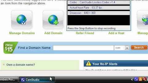 How to Set Up a Domain with Your IP