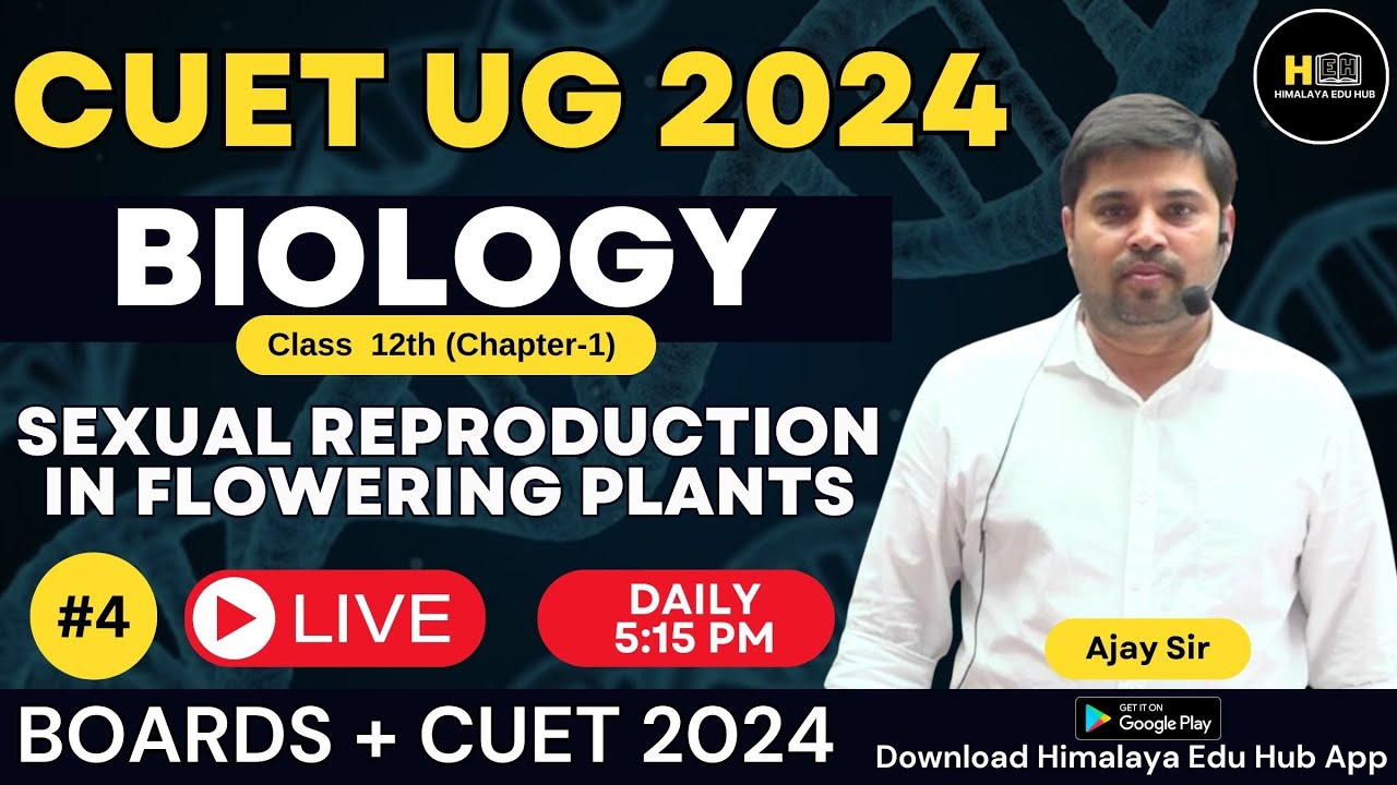CUET UG 2024 | Class 12 Biology Chapter 1 #4 | SEXUAL REPRODUCTION IN ...