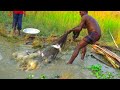 Amazing Net Fishing | Best Net Fishing | Asian Village Traditional Net Fishing