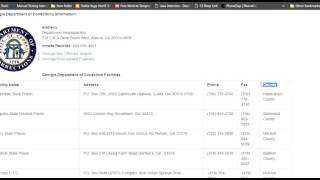 Georgia Inmate Search Guide