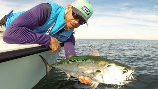 Hilton Head Winter Offshore Light Tackle Fishing