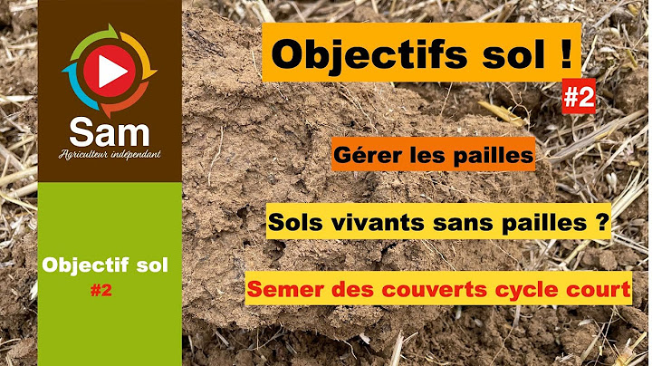 Soil Objectives #2 Straw Management. Protecting your soil and improving organic matter. Some ideas