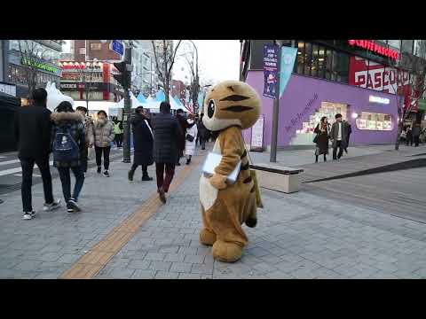 JHKTV] 신촌 명물고양이 앗실수네 shin <strong>chon</strong> special <strong>cat</strong> Oh, I made a mistake