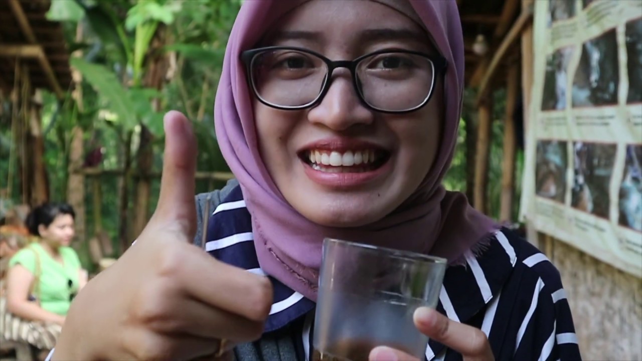 Minuman berkhasiat dan Cara Membuat Gula Kelapa di Yogyakarta - Wisata