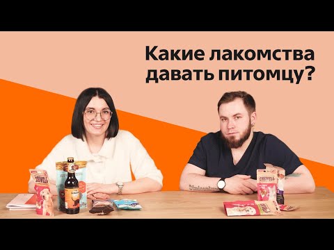 средство от глистов и блох для кошки с диабетом